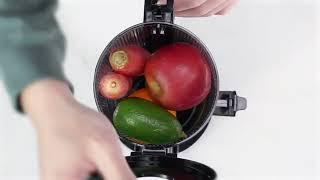 Ventray 900 Slow Masticating Juicer