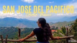 San José del Pacífico, Oaxaca | Las mejores cabañas  y puentes colgantes