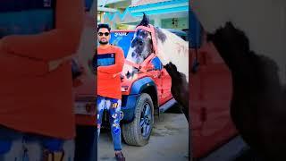 Coming Son Bharth dy 6/06/2022 Rupal Partiy
