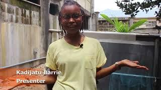 First Fish Farm in Sierra Leone.