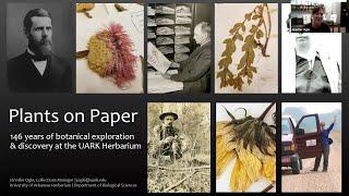 Plants on Paper - A History of the University of Arkansas Herbarium with Jennifer Ogle