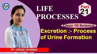 LIFE PROCESS - EXCRETION ( PEOCESS OF URINE FORMATION)