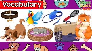 In a Pet Store | Educational Videos | Learn English - Talking Flashcards| Education