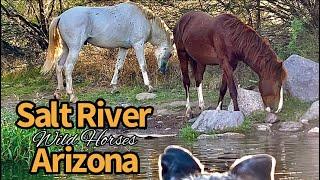 Sunrise float on the Salt River, Arizona