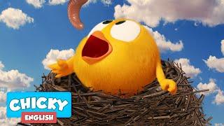 Where's Chicky? Funny Chicky 2021 |  CHICKY'S NEST | Chicky Cartoon in English for Kids