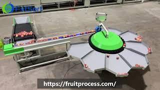 Mini fruit grader, apple sorting machine, fruit weight grader