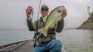 How To Catch Bass On Any Lake!