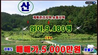 물번,617번) 임야,9.480평 계획관리지역,농림. 매매가,5.000만원 준보전산지,1.850평 밑 부분에 있습니다 도로 잘 물고 있으며 지적도상의 도로 접하고 있습니다 ~임업인