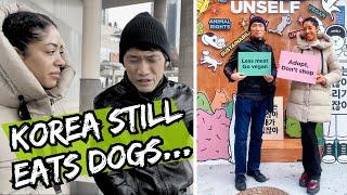 Korea STILL EATS DOGS... |  Vegan AMBW COUPLE  | Vlog