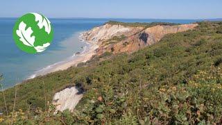 Restoring Unique Habitats on Martha's Vineyard