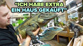 HAUS zum TERRARIUM umgebaut - Robin's Lebenswerk