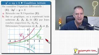 differential equation y'=ay+b & graph  Terminale specializing in mathematics