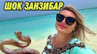 Занзибар пляж Нунгви 2024| Цены ,жильё |Неожиданно страшно.(((#travel