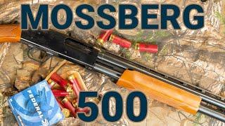 The Mossberg 500 is a Great Budget Pump to Start