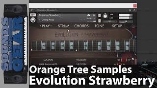 Review: Orange Tree Samples Evolution Strawberry Electric Guitar