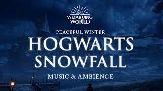 Snowfall at Hogwarts | Wintry Harry Potter Music & Ambience | 3 Hours