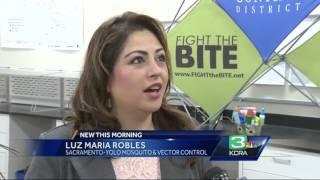 ‘Fight the Bite’ its mosquito and West Nile virus awareness week