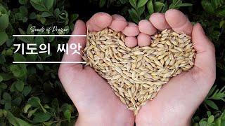 [기도의 씨앗] 기도를 심는 특별한 시간 06-24-2025  1054