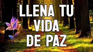 LLENA TU VIDA DE PAZ,  ROMPIENDO LOS MIEDOS Y LOS MANDATOS FAMILIARES