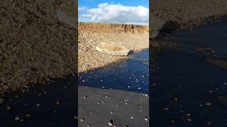 Storm Ciarán damage - coastal erosion between Winchelsea Beach and Pett Level