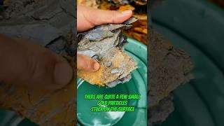 #traditionalgoldmining the best result I’ve ever gotten #goldrush #goldmining #goldpanning