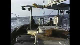 Tuna Fishing 200 miles off Vancouver Island British Columbia