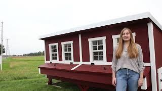 Jumbo OverEZ Chicken Coop Assembly