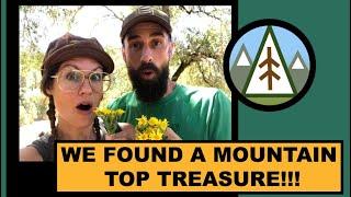 We Found A Mountain Top Treasure! | Ep  1 Forest Folk Offgrid