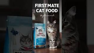 Is First Mate good cat food | first mate cat food review #cats #shorts #yellowmimish @Cat