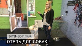 Бизнес-план: отель для собак