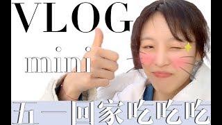 【梨涡少女mini的Vlog】五一VLOG，回家这一路吃就完事了！