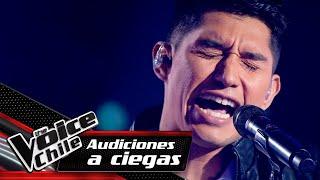 Roberto Lobos - Precisamente ahora | Audiciones a Ciegas | The Voice Chile