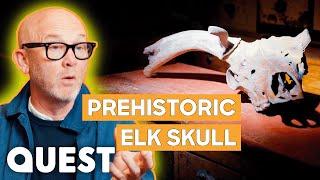 Drew DESPERATELY Wants A 12,000-Year-Old Irish Elk Skull | Salvage Hunters