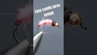 Easy caddis larva nymph from Sibnymph Multicolor Mohair Yarn and Peacock dubbing  #flytying #nymph