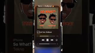 Tekno & Shallipoppi just team up for new music titled “So What” #shorts #viral