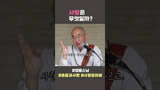 사랑은 무엇일까? #법륜스님 #존중과사랑 #사랑은이해다 #법륜쇼츠 #법륜스님쇼츠 #정토불교대학