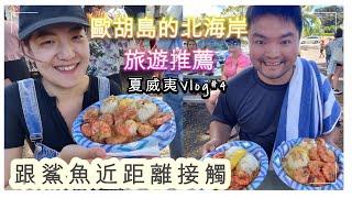 夏威夷 Vlog#4-跟鯊魚一起游泳!!歐胡島的北海岸必吃的蒜味蝦餐車和彩虹冰