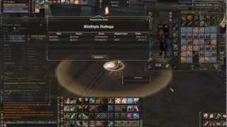 BlizStyle Duelist x50 High Five Lineage 2