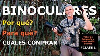 Cómo elegir los mejores binoculares para la observación de aves