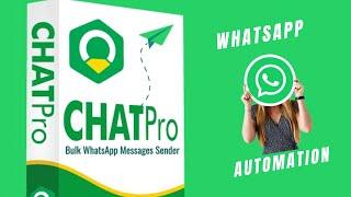 Whats app Automation Chat Pro Bot Lead User Demo  Part 1