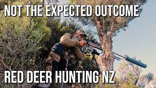 Red Deer Hunting NZ  - A new spot 2020