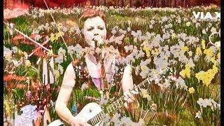 Daffodil Lament Music Video (The Cranberries, No Need To Argue Album)