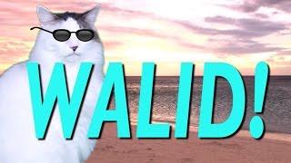 HAPPY BIRTHDAY WALID! - EPIC CAT Happy Birthday Song