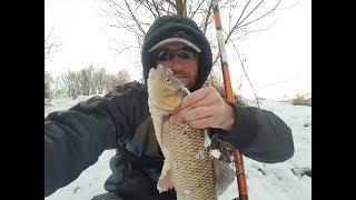 Pecanje Klena na plovak,na hleb(GoPro Fishing HD) Reka Nisava,Daiwa Bolognese