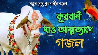 কুরবানী নিয়ে নতুন গজল 2024 || Qurbanir sera gojol || কুরবানী দাও আত্মত্যাগে গজল || #islamictipstv