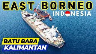 KEKAYAAN ALAM INDONESIA‼️BATU BARA KALIMANTAN || PELAUT INDONESIA