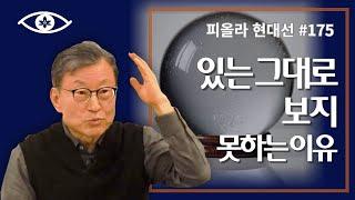 [현대선175] 있는그대로 보지 못하는 이유 / 피올라 현대선 26강 "걱정근심이 끝나는 곳" 7회 #피올라마음학교 #마음공부 #깨달음 #현대선