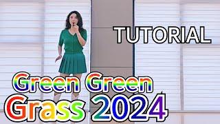 Green Green Grass 2024 Line Dance TUTORIAL 스텝설명 초급라인댄스