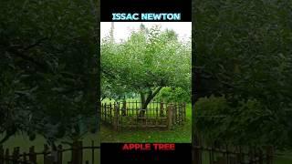 the legendary Newtown's apple tree #shorts