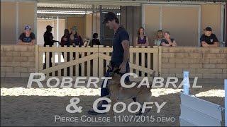 Robert Cabral Dog Training Obedience and Protection Demo with Goofy